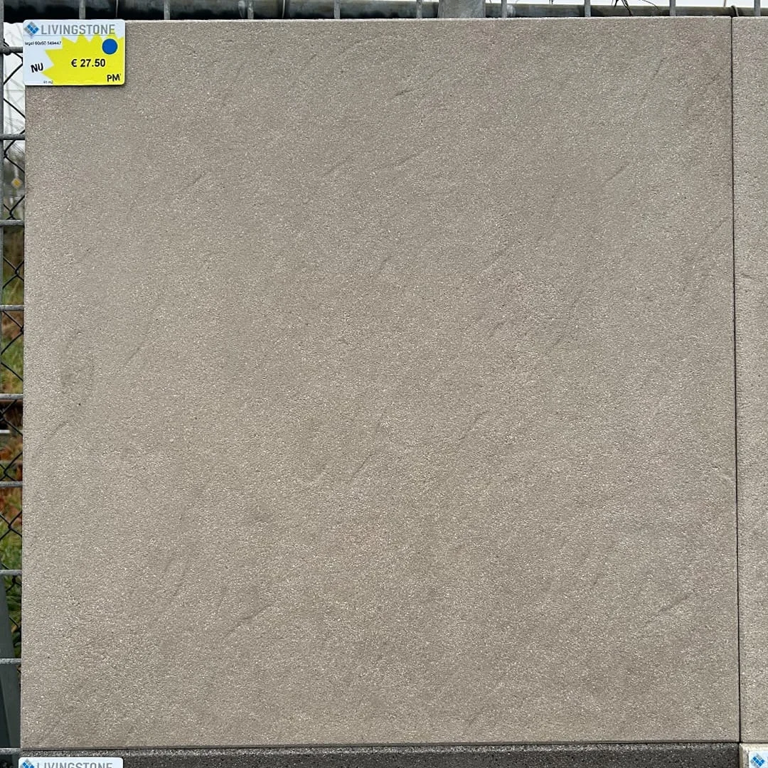 gecoate betontegel - 549447 - 60x60  - Bkeus